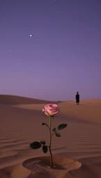 A Rosa e o Príncipe