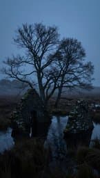 Brae Ashes