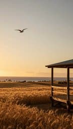Gulf and Wheat