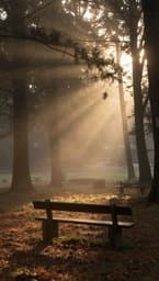 Faith in the Quiet