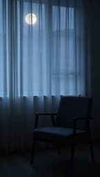 Quiet Void