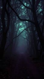 Shadows of the Void