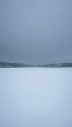 Silent Snow