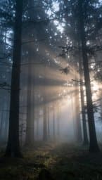 Ethereal Drift