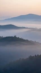 Ethereal Dawn