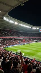 Stadium Rise