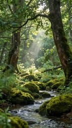 Nature's Whisper
