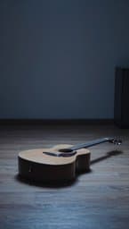Acoustic Echoes