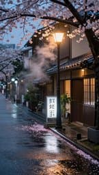 Tokyo Rainy Afternoon