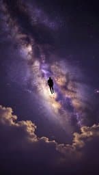 Fly to the Light