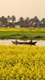 Mustard Green