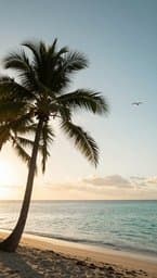 Salt & Breeze
