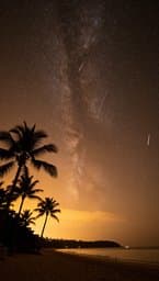 Star Rays