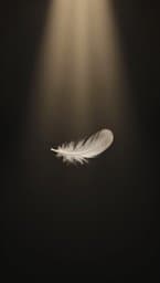 Stillness