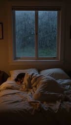 Midnight Rain Drift