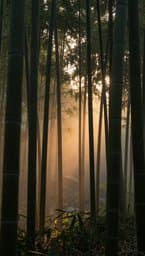 Bamboo Echo