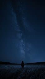 Starry Night Solace