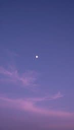 Wishes Under the Stars