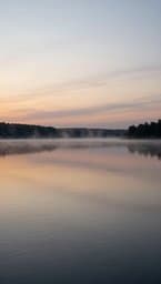Tranquil Praise