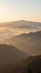 Gaze Upon the Mountains