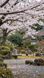 Zen Moments