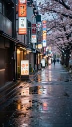 Tokyo Rainy Afternoon