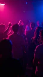 Neon Noite