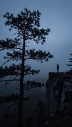 Ashes of Raw Depression