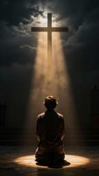 O Poder da Luz