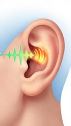 Las Vibras: El Proceso de Escuchar