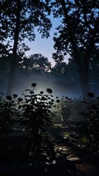 Garden Stillness