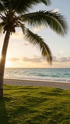 Island Vibe