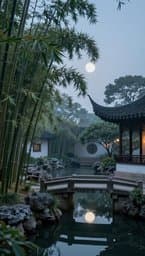Silent Bamboo Grove