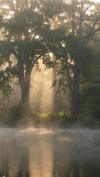 Gentle Haze