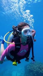 The Deep Dive #2