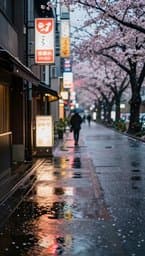 Tokyo Rainy Afternoon