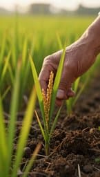 மன்னின் மடியில் விதையாய் (Seed in the Earth's Womb)