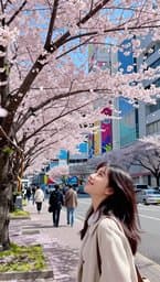 Sakura e Hinata
