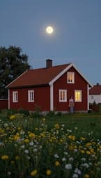 Julimorgon