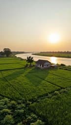 রংপুরের ছেলে রবিউল