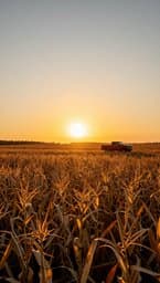 Iowa Heartland Pride