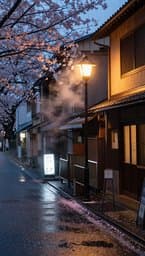 Tokyo Rainy Afternoon