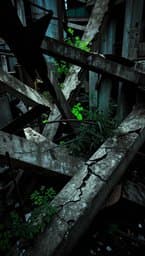 Fractured Reality