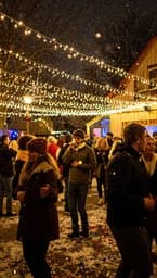 Winter Wonderland Party