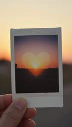 Paper Promise