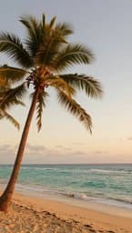 Island Peace