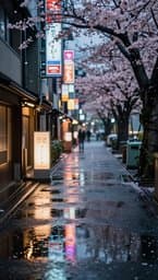 Tokyo Rainy Afternoon