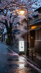 Tokyo Rainy Afternoon