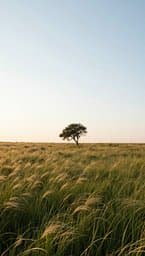 Whispers of the Wind