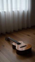 Flujo Acústico